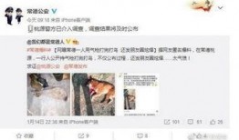 最新网友爆料新闻,神秘事件背后真相揭晓