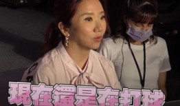 陶晶莹的丑事爆料视频,揭秘娱乐圈背后的惊人真相