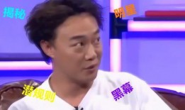 娱乐圈黑幕大爆料,揭开明星背后的真相