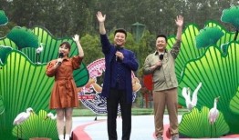 和平静音最新爆料视频,揭秘视频背后的惊人真相