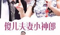傻瓜在线观看,轻松幽默的喜剧之旅