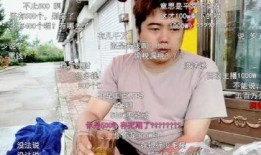天涯爆料一哥视频在线观看,视频在线观看背后的故事