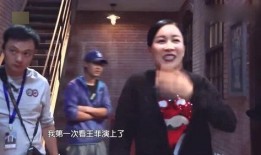 陶晶莹的丑事爆料视频,揭秘娱乐圈背后的惊人真相